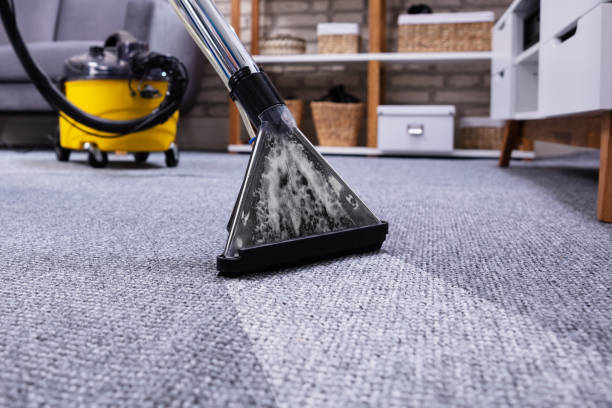 Human Cleaning Carpet In The Living Room Using Vacuum Cleaner At Home
